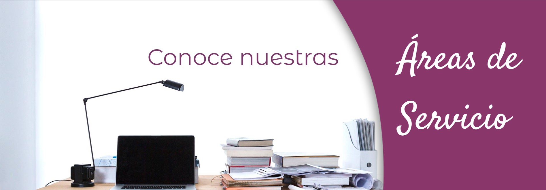 areas de servicio eloisa febles yanes