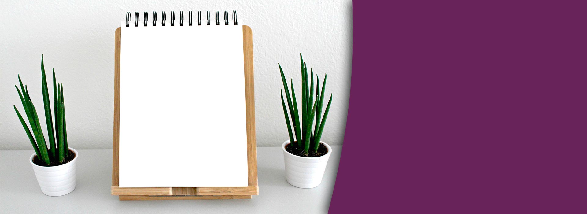 eloisa-febles-derecho-de-familia-cabecera eloisa-febles-derecho-de-familia-cabecera