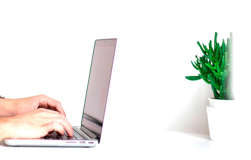 contacto eloisa febles yanes 2